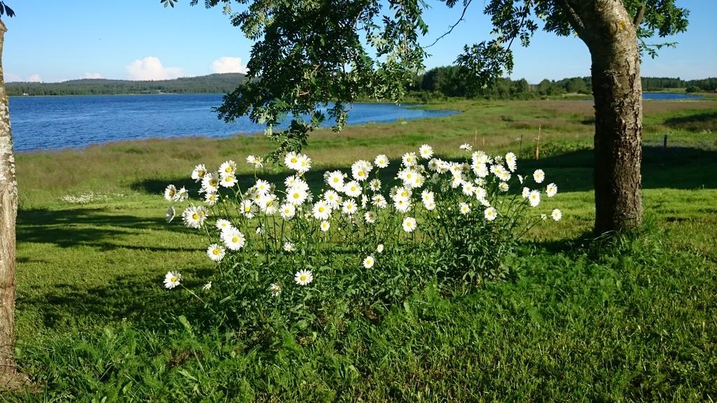 Nivagarden Villa Korpikyla Bagian luar foto